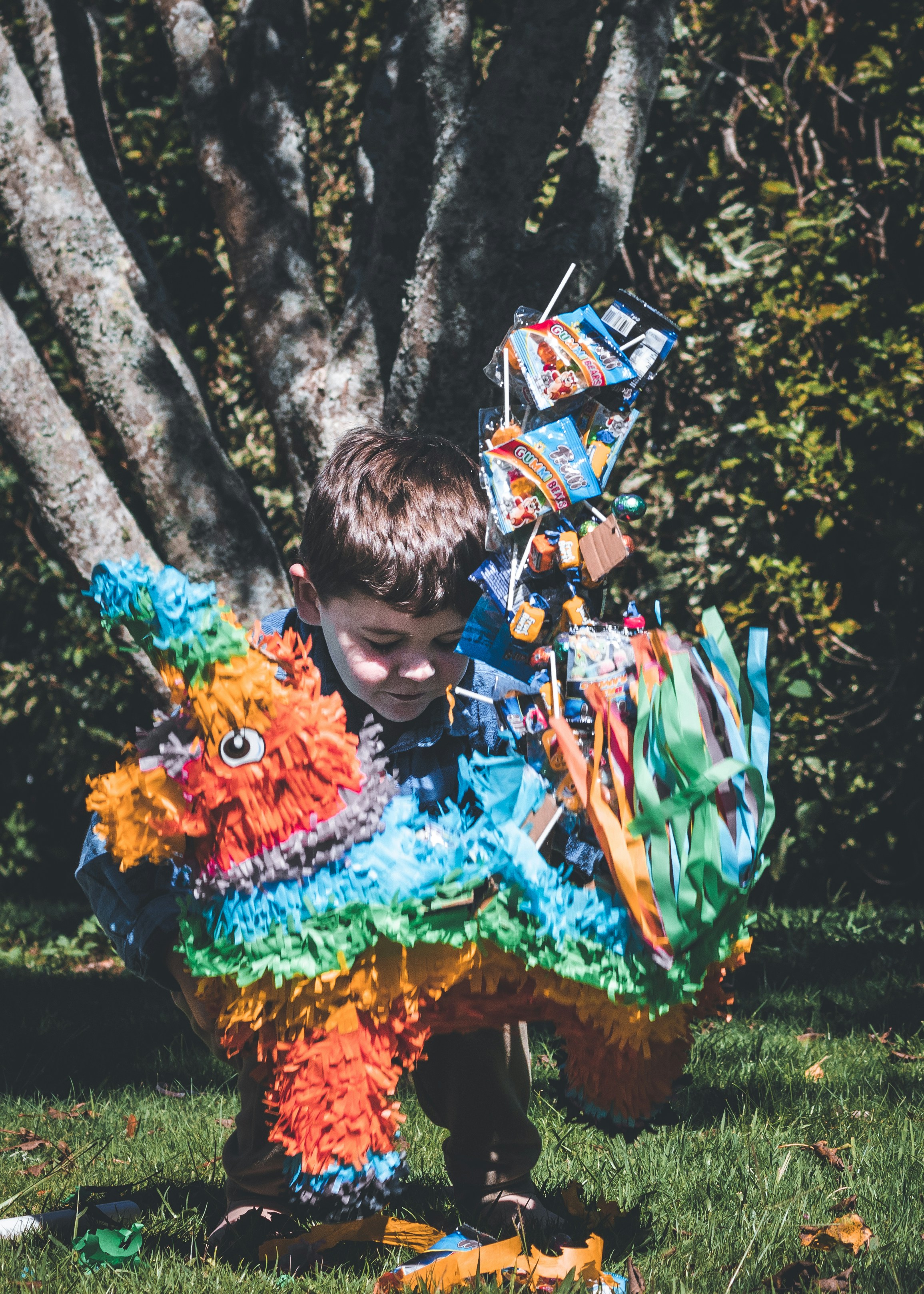 callum-hill-p9q6iw5W4fk-unsplash